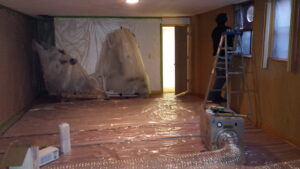 Image of mold remediation in progress.