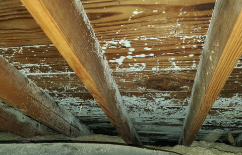 Mold in framework of home before Better World Builders provided indoor air quality solutions in a Battle Creek, MI, home.